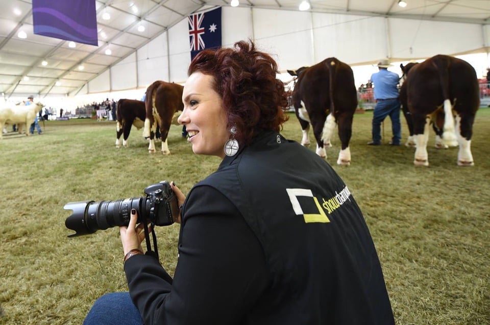 Maureen Tubman Photographing Cows in Australia